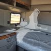 2020 INTERNATIONAL LT 8020451230